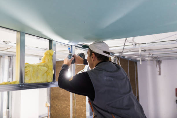 Best Insulation Installation Services in Longmont, CO