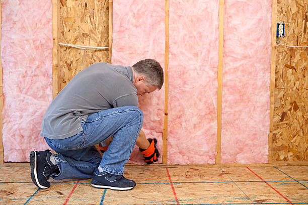Best Energy Efficiency Solutions in Longmont, CO