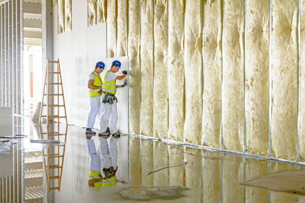 Best Insulation for Specific Applications in Longmont, CO